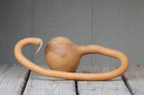 Long Handled Curvy Dipper Gourds