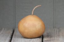 Mini Kettle Gourds
