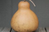 Pear / Teardrop Gourds
